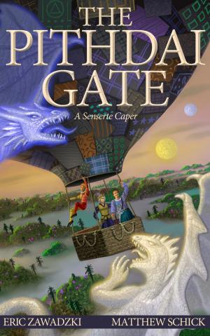 Book cover of The Pithdai Gate