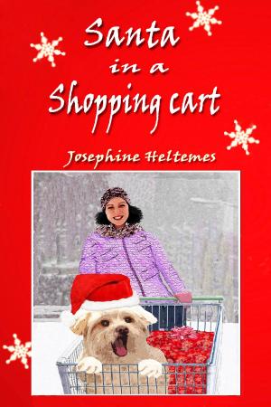 Book cover of Santa in a Shopping Cart