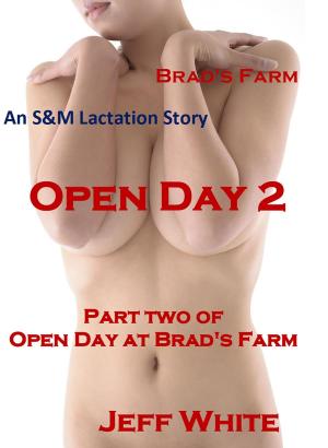 bigCover of the book Open Day 2 by 