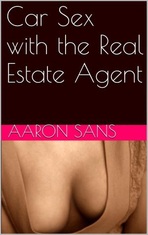 Cover of the book Car Sex with the Real Estate Agent by Charlie Bent