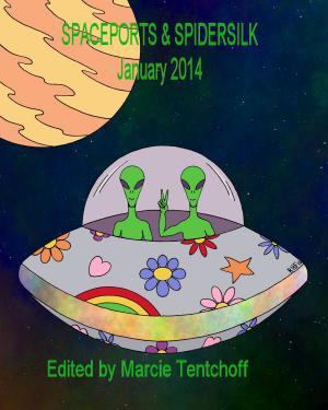 Cover of Spaceports & Spidersilk January 2014