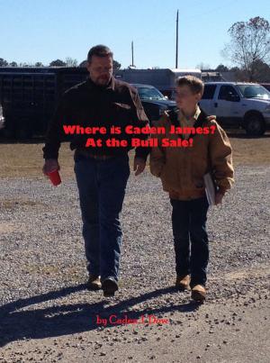bigCover of the book Where is Caden James? At the Bull Sale! by 