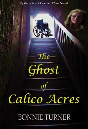 Book cover of The Ghost of Calico Acres