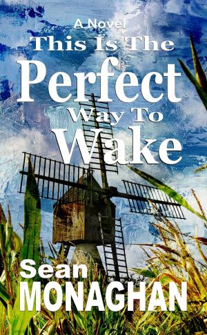 Cover of the book This is the Perfect Way to Wake by Sean Monaghan