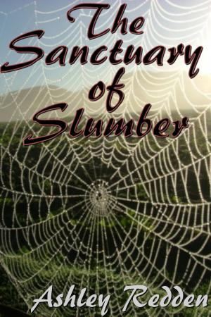 Book cover of The Sanctuary Of Slumber