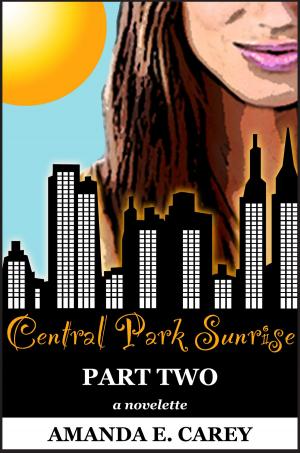 Cover of Central Park Sunrise: Part Two of Two-Part Series (A Contemporary Romance) (The Central Park Affair Series)