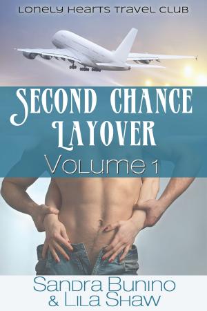 Book cover of Second Chance Layover: Volume One