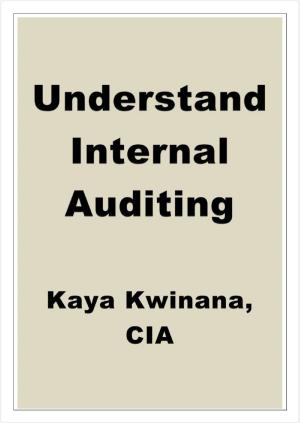 Cover of Understand Internal Auditing
