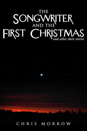 Cover of the book The Songwriter And The First Christmas And Other Short Stories by Derek Elkins