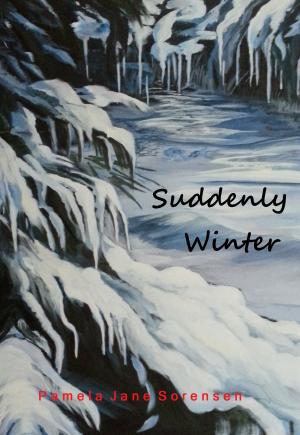 Cover of the book Suddenly Winter by Zanne Mangin