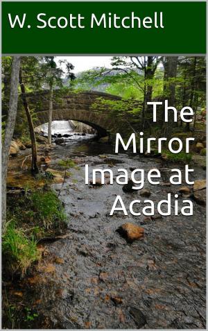 Cover of the book The Mirror Image at Acadia by Desiree Broussard