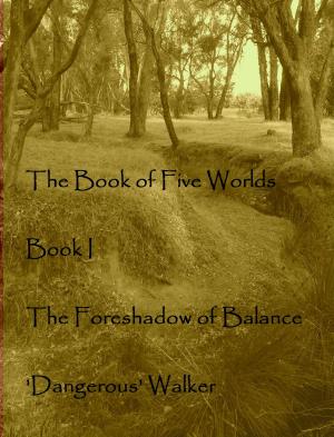 Cover of the book The Foreshadow of Balance by Sophie Dabat