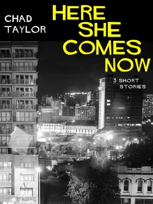 Book cover of Here She Comes Now