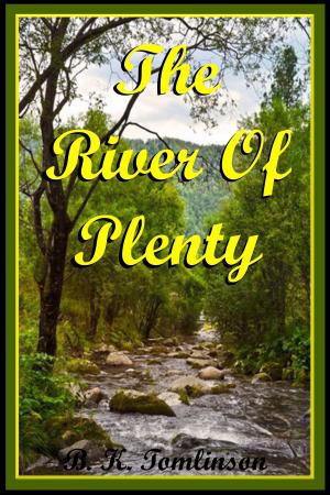 Cover of The River Of Plenty