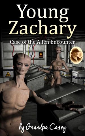 Cover of the book Young Zachary Case of the Alien Encounter by Tom Steephen