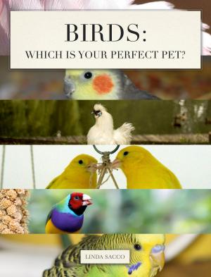 Cover of the book Birds: Which is Your Perfect Pet? by Robert Litt, Hannah Litt