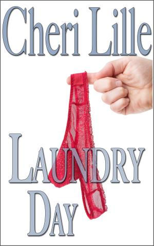 bigCover of the book Laundry Day by 