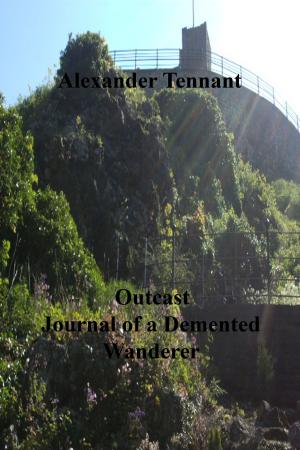 Book cover of Outcast Journal of a Demented Wanderer
