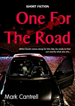 Cover of the book One For The Road by Lucian Barnes