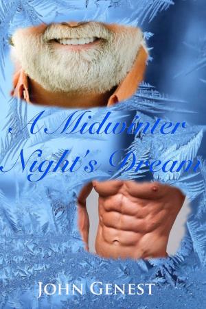 Cover of the book A Midwinter Night's Dream by Claudie Arseneault