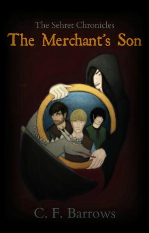 Cover of the book The Sehret Chronicles: The Merchant's Son by Anni Antoni