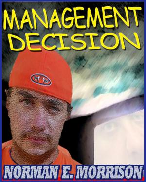 Cover of the book Management Decision by Patricia Sereno