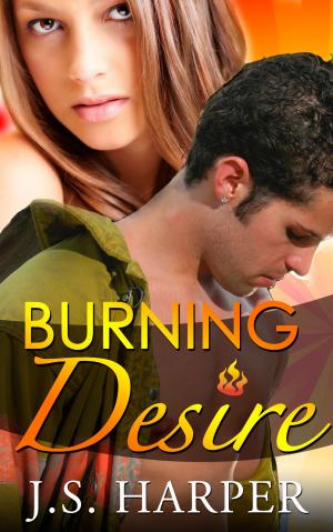 Cover of the book Burning Desire - (Part 2 - Burning Hearts Series) by Lisa O'Donnell