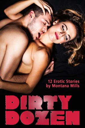 Cover of Dirty Dozen: 12 Erotic Stories