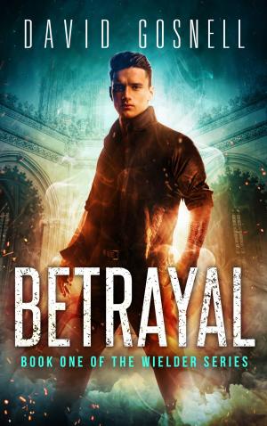 Cover of the book Betrayal by Vince Bios