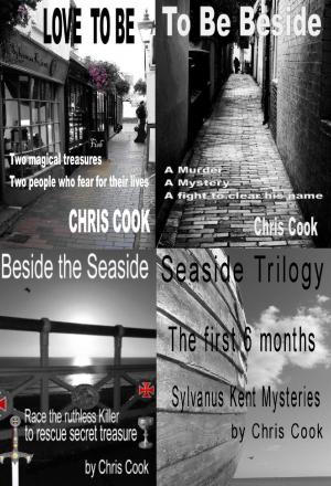 Cover of the book The Seaside Trilogy by pd mac