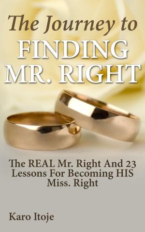 Book cover of The Journey To Finding Mr Right
