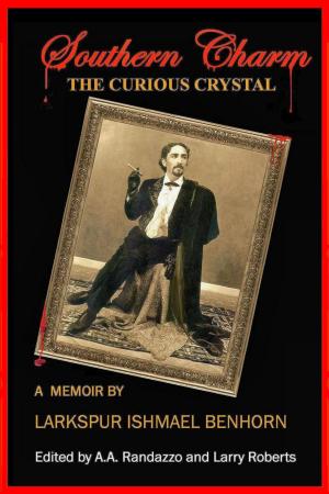 Cover of the book The Curious Crystal by D.M. Draper