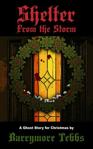 bigCover of the book Shelter From the Storm: A Ghost Story for Christmas by 