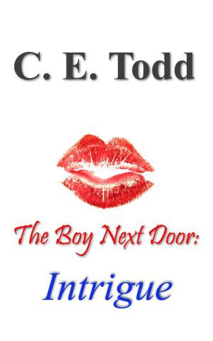 Cover of the book The Boy Next Door: Intrigue (Book 2) by TM Smith