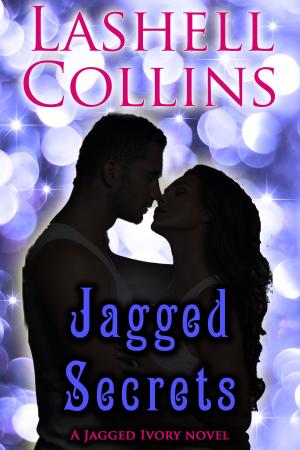 Cover of the book Jagged Secrets by Susan Napler