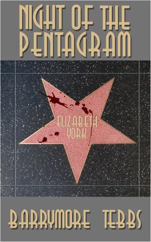 Cover of the book Night of the Pentagram by Jeroen Verhoog