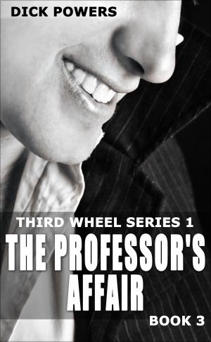 Cover of the book The Professor's Affair (Third Wheel Series 1, Book 3) by Maggie May