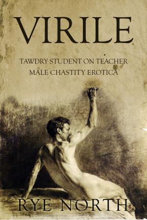 Cover of the book Virile by Erica Ridley