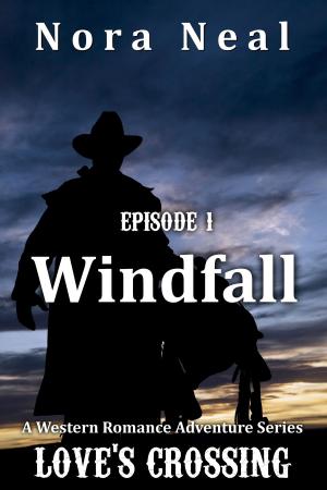 Book cover of Windfall (Love's Crossing 1)