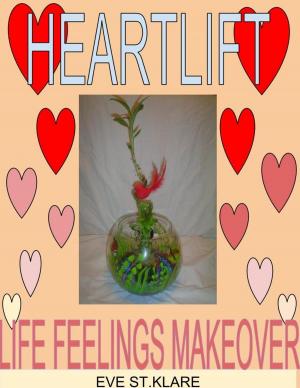 Cover of the book Heartlift Life Feelings Makeover by John Beach