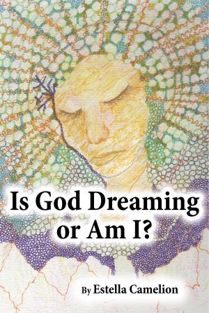 Book cover of Is God Dreaming or Am I?