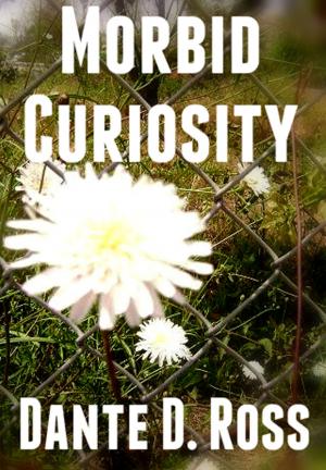 Cover of the book Morbid Curiosity by Robert Jackson-Lawrence