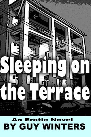 Book cover of Sleeping on the Terrace