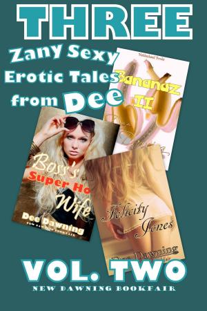 Cover of the book Three Sexy Zany Erotic Tales From Dee: VOL TWO by Angela Daniels