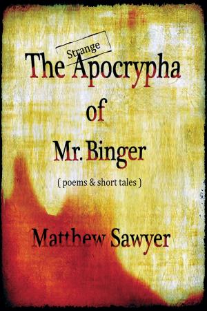 Cover of the book The Strange Apocrypha Of Mr Binger by Jill Whalen