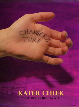Book cover of Changer's Turf