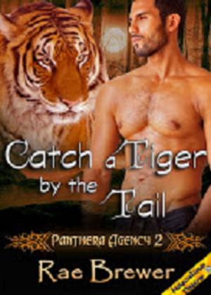 Cover of the book Catch a Tiger by the Tail by Rayne O'Gara