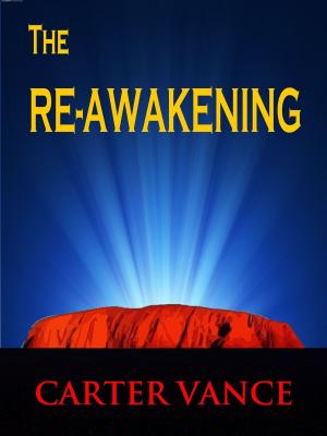 Cover of the book The Re-Awakening by Charles Beagley, Accentia Design