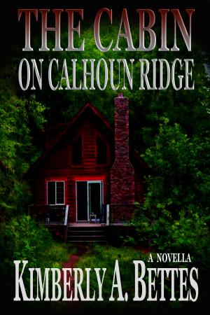 Book cover of The Cabin on Calhoun Ridge