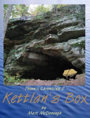 Cover of the book Kettlan's Box by Mark McDonough